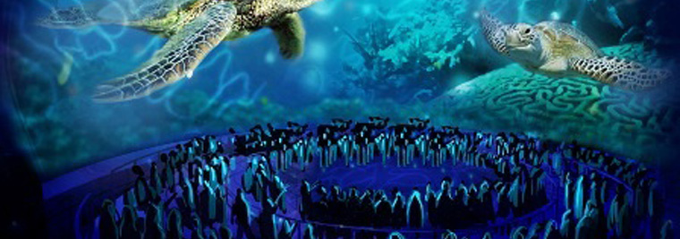 SeaWorld New Attractions 2012