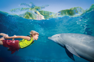 Boy with dolphin