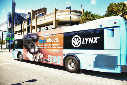 Orlando's Lynx Bus