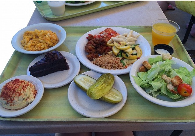 Discovery Cove Food
