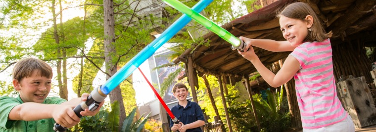 5 reasons Star Wars geeks should go to Disney World