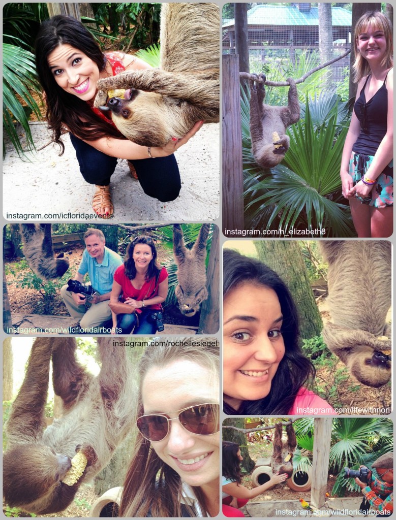 sloth selfies at wild florida