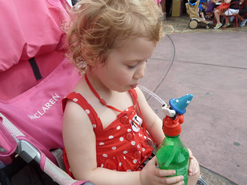 Staying hydrated in the Florida theme parks