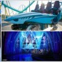 New Rides in Florida 2016