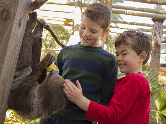 Boys with sloth at Wild Florida