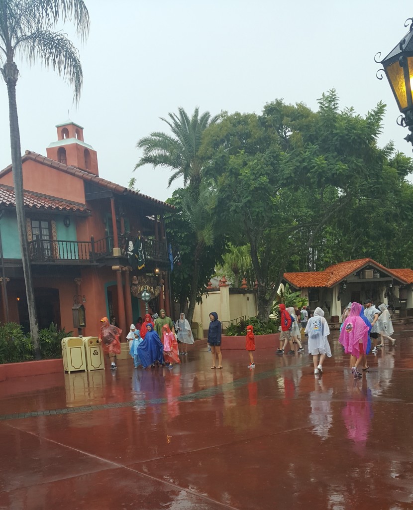 Rain at Disney World