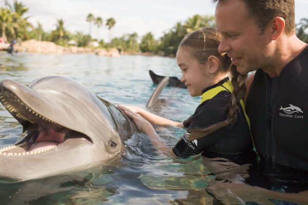 Dad and daughter with dolphin at Discovery Cove