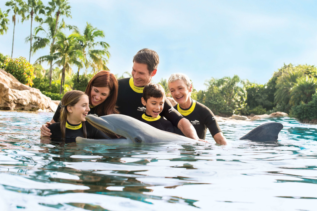 Family Dolphin Swim at Discovery Cove