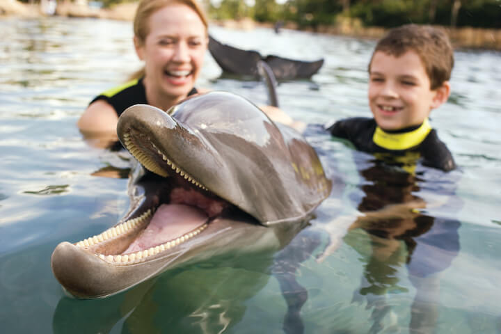 Mum and son with happy dolphin at Discovery Cove