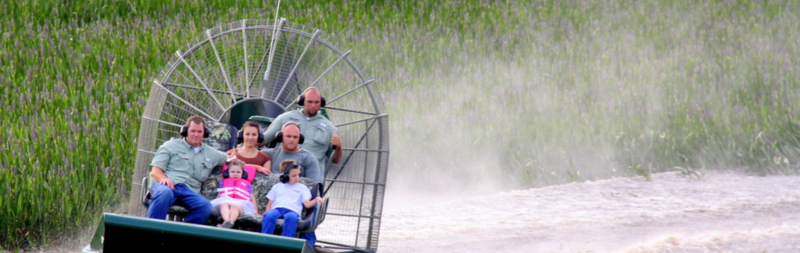 Wild Florida Everglades airboat ride with kids