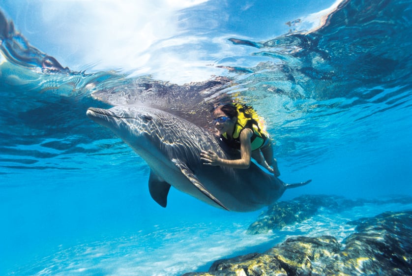 girl swimming with dolphin