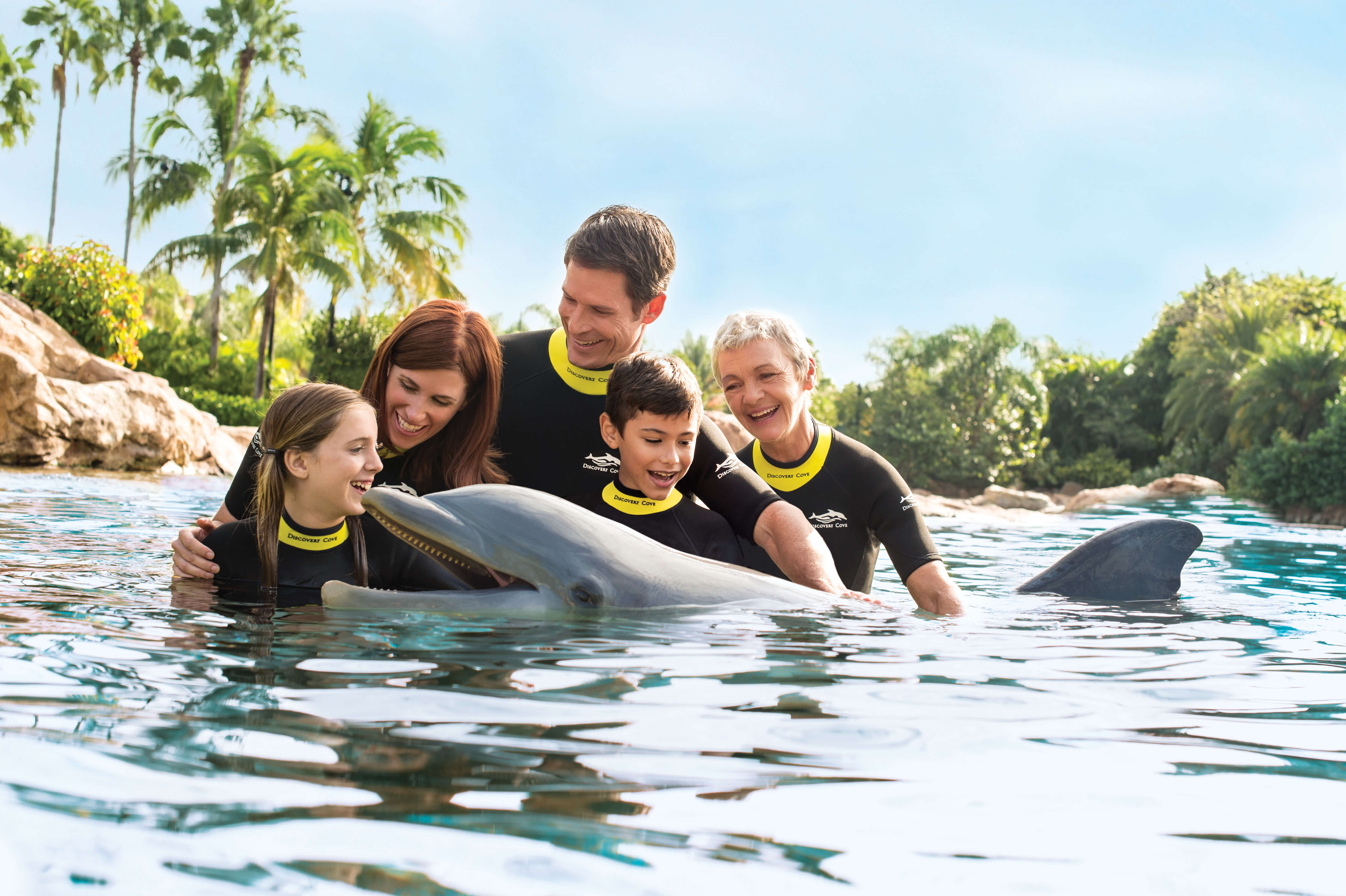 10-things-you-always-wanted-to-know-about-the-discovery-cove-dolphin