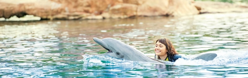 Girl swimming with dolphin at Discovery Cove