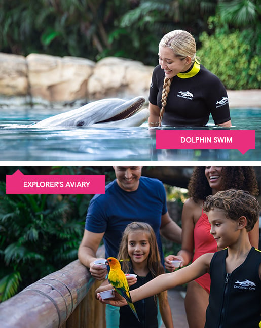 Explorer’s Aviary Discovery Cove