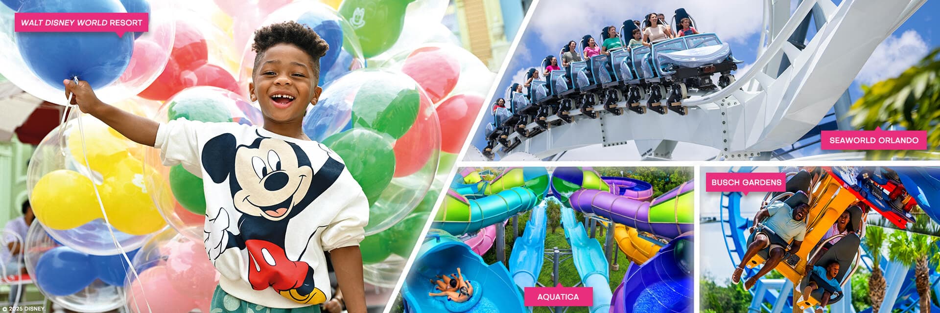 Seaworld and Disney combo Header