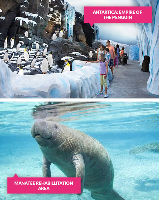 SeaWorld orlando rehabilitation