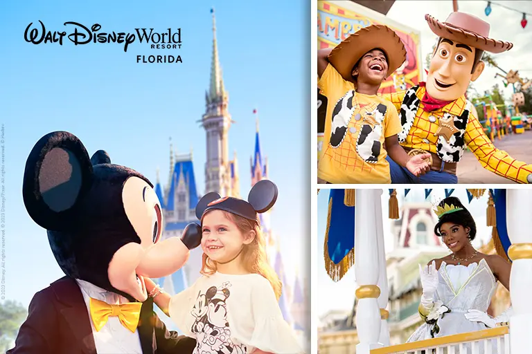 Disney World Resort Florida