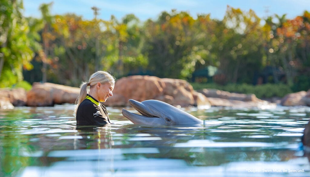 Relax and explore Discovery Cove Orlando with Florida Black Friday savings on all-inclusive resort-style packages featuring dolphin encounters and tropical lagoons.