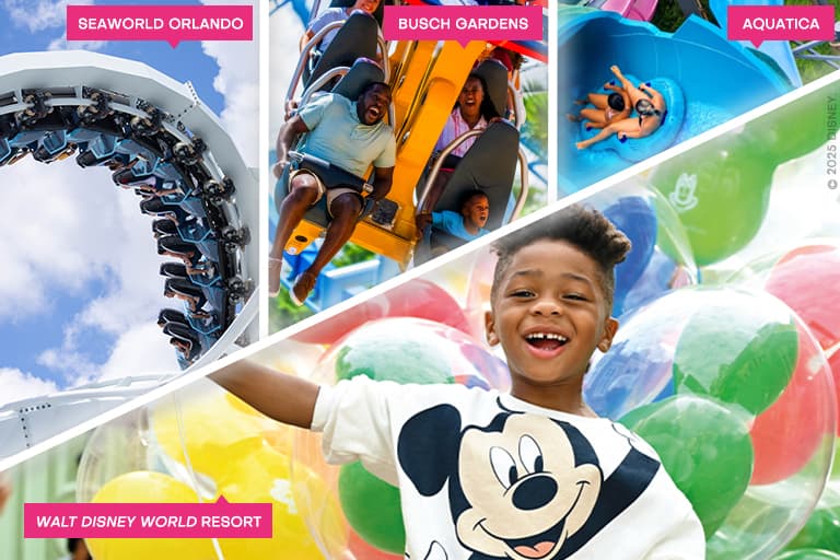 Disney-seaworld-combo